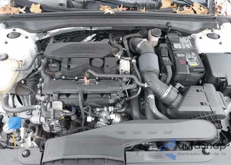 2023 Kia K5 Gt-Line from USA, damaged, VIN 5XXG64J22PG182250